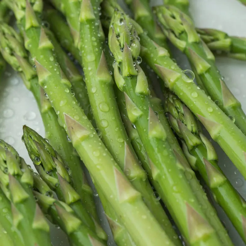 Low-Fat High-Fiber Asparagus Seeds | Top Choice for Weight Loss Veggies | Perennial & Easy to Grow