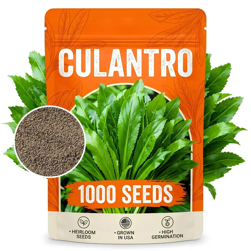 1000 Culantro - Heirloom Grown in USA, High Germination Rate for Gardening