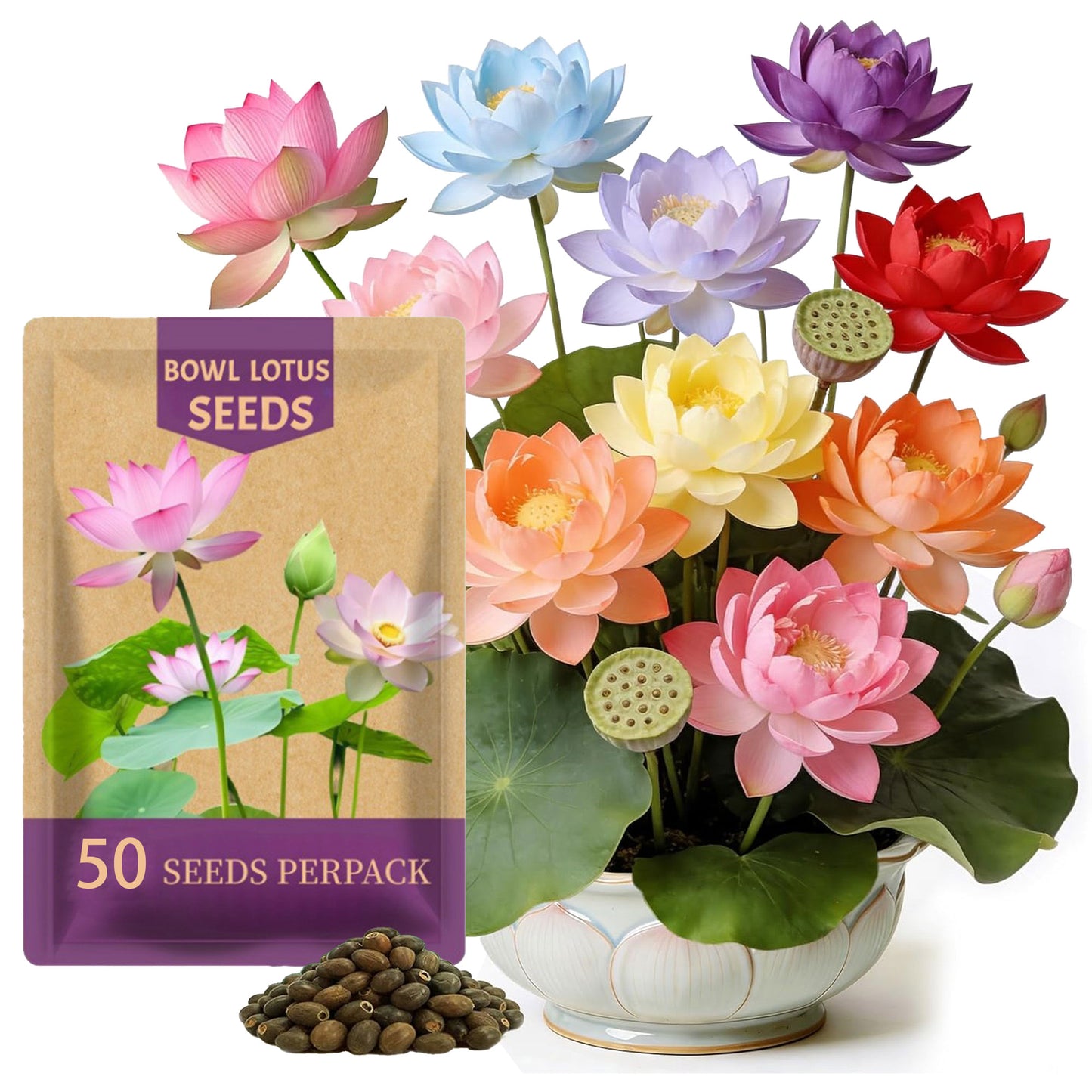 50PCS Lotus Seeds for Planting in Water - Mixed Color Bowl Lotus Seeds, Aquatic Plant Water Lily Seeds for Bonsai