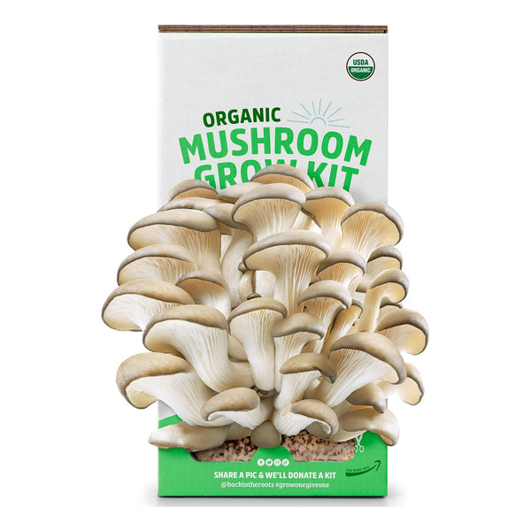 Organic Oyster Mushroom Grow Kit, Harvest Gourmet Mushrooms In 10 Days