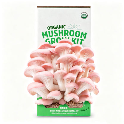 Organic Oyster Mushroom Grow Kit, Harvest Gourmet Mushrooms In 10 Days