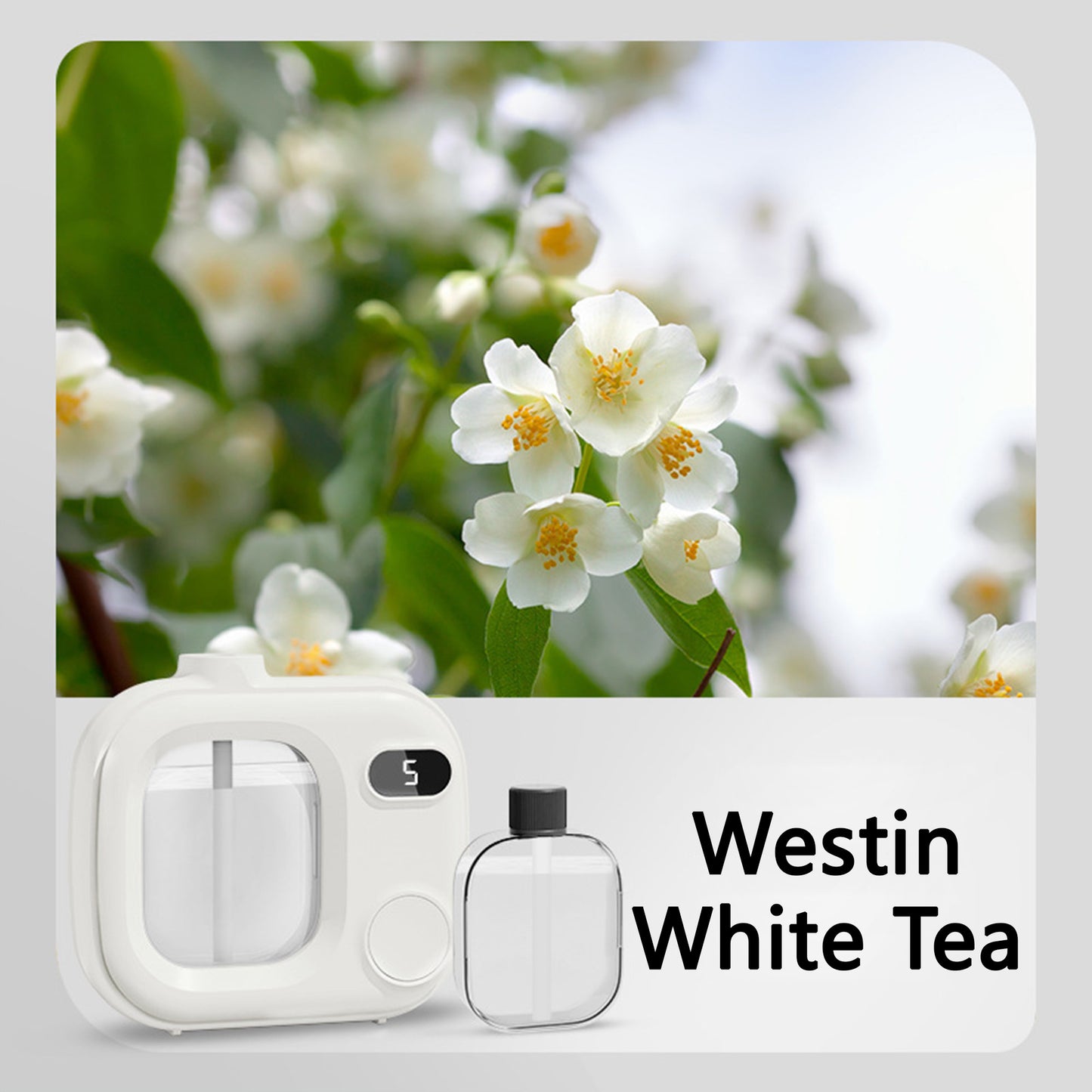 Waterless Essential Oil Diffuser Portable Cordless Aromatherapy Scent Machine with 5 Mist Modes