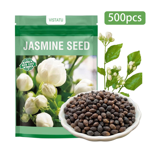 500PCS Climbing Jasmine Flower Seeds Fragrant Plant for Planting Garden