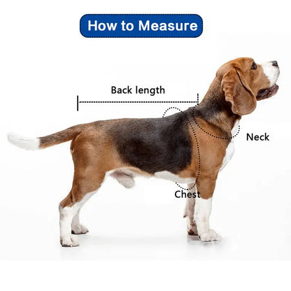 Transparent Thick Cape Dog Raincoat for Small Medium Dogs
