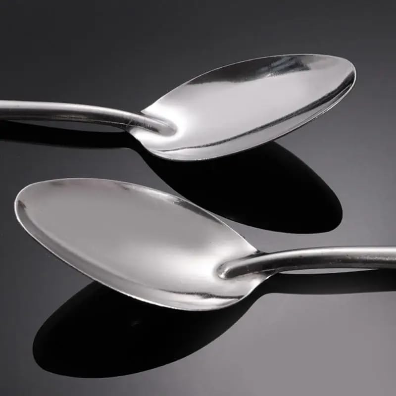 10 PCS Tea Spoons Set Silverware - 6.7 inch Stainless Steel Spoon