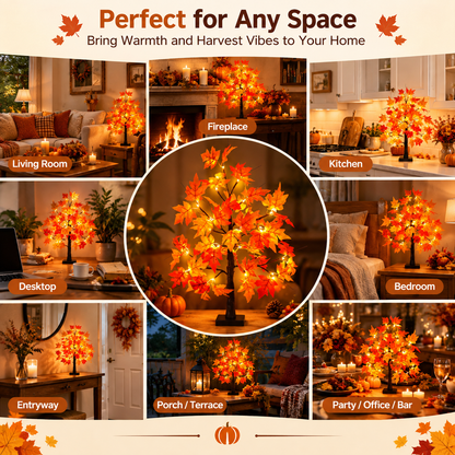 24 Inch Fall Maple Tree with 48LED Battery Operated Lighted Tabletop Artificial Tree with Pumpkin Acorn Maple Fall