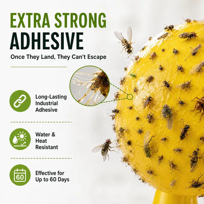 4Pcs Fruit Fly Sticky Trap Balls Fungus Gnat Killer Bug Catcher Gnat Trap Insect Traps