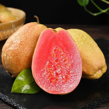 500Pcs Tropical Guava Organic Pink Guava Seeds- Exotic Flavor Medley