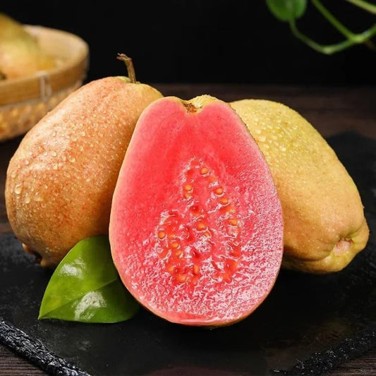 500Pcs Tropical Guava Organic Pink Guava Seeds- Exotic Flavor Medley