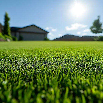 17000+ Grass and Shade Grass, Grows Quickly and Withstands All Seasons