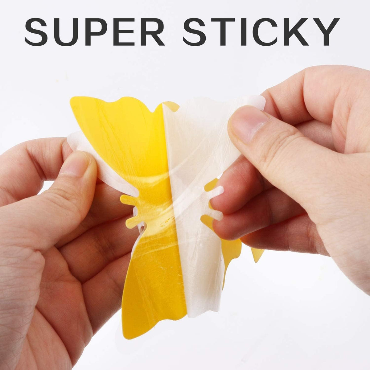 50 Pack Yellow Sticky Traps, Fungus Gnat Traps for House Indoor Plants