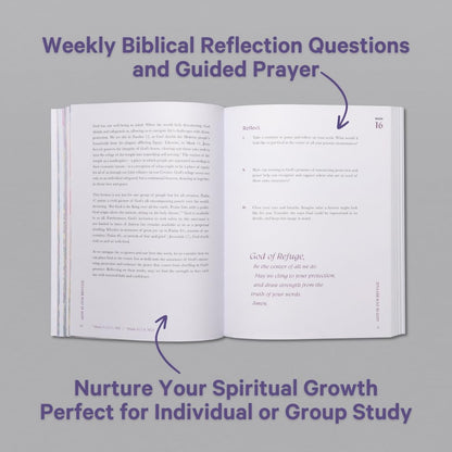 A Beautiful Year Softcover Bible Study: 365-Day Devotional, 52-Week Study, Daily Reflection for Spiritual Growth and Prayer