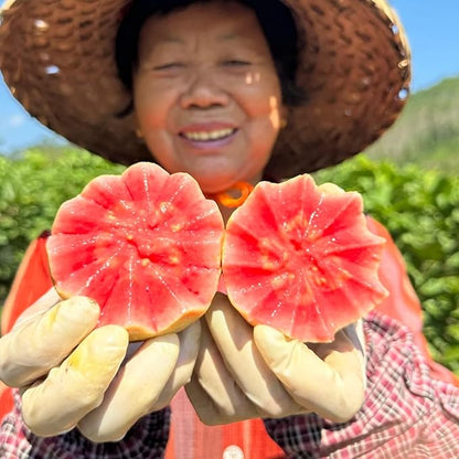 500Pcs Tropical Guava Organic Pink Guava Seeds- Exotic Flavor Medley