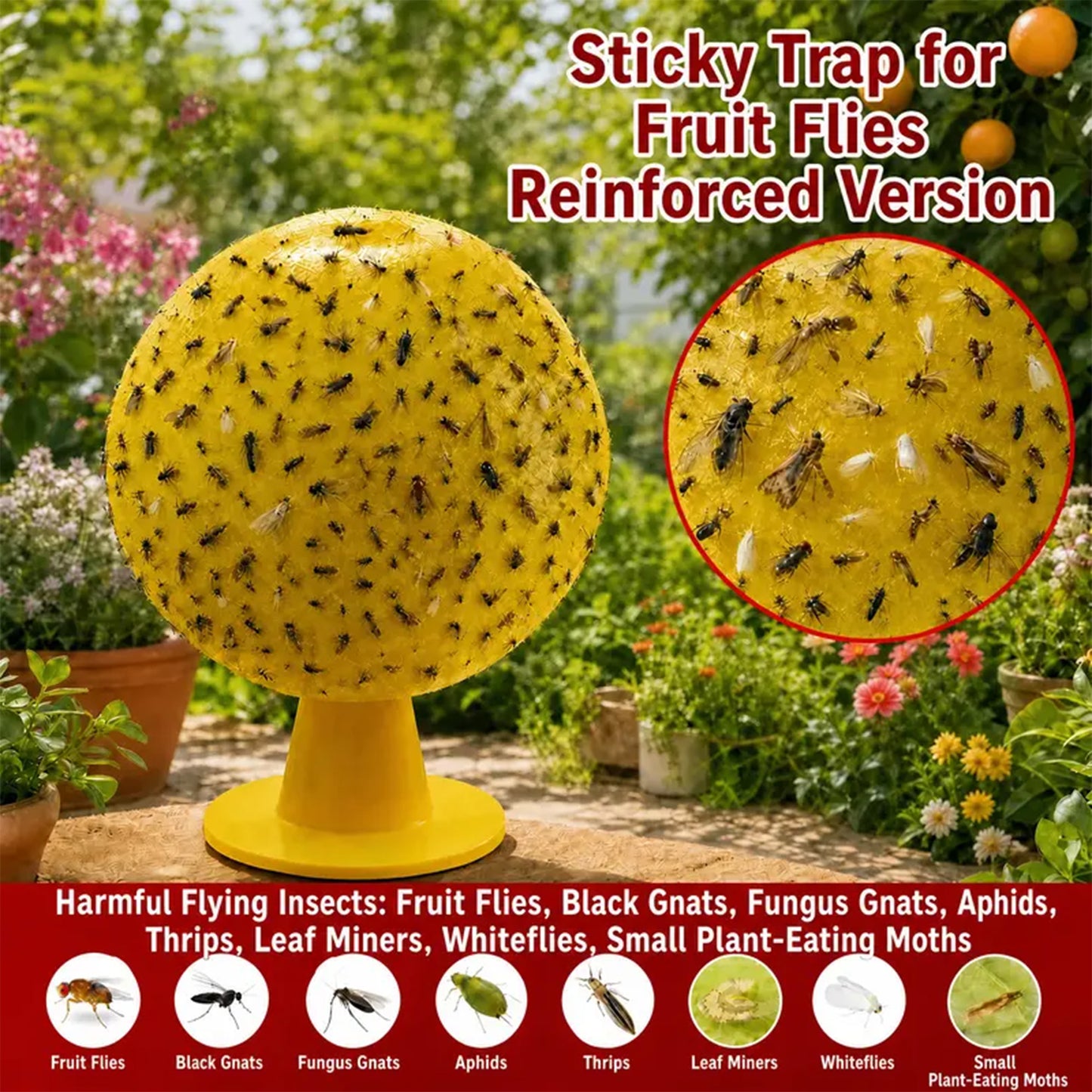 4Pcs Fruit Fly Sticky Trap Balls Fungus Gnat Killer Bug Catcher Gnat Trap Insect Traps