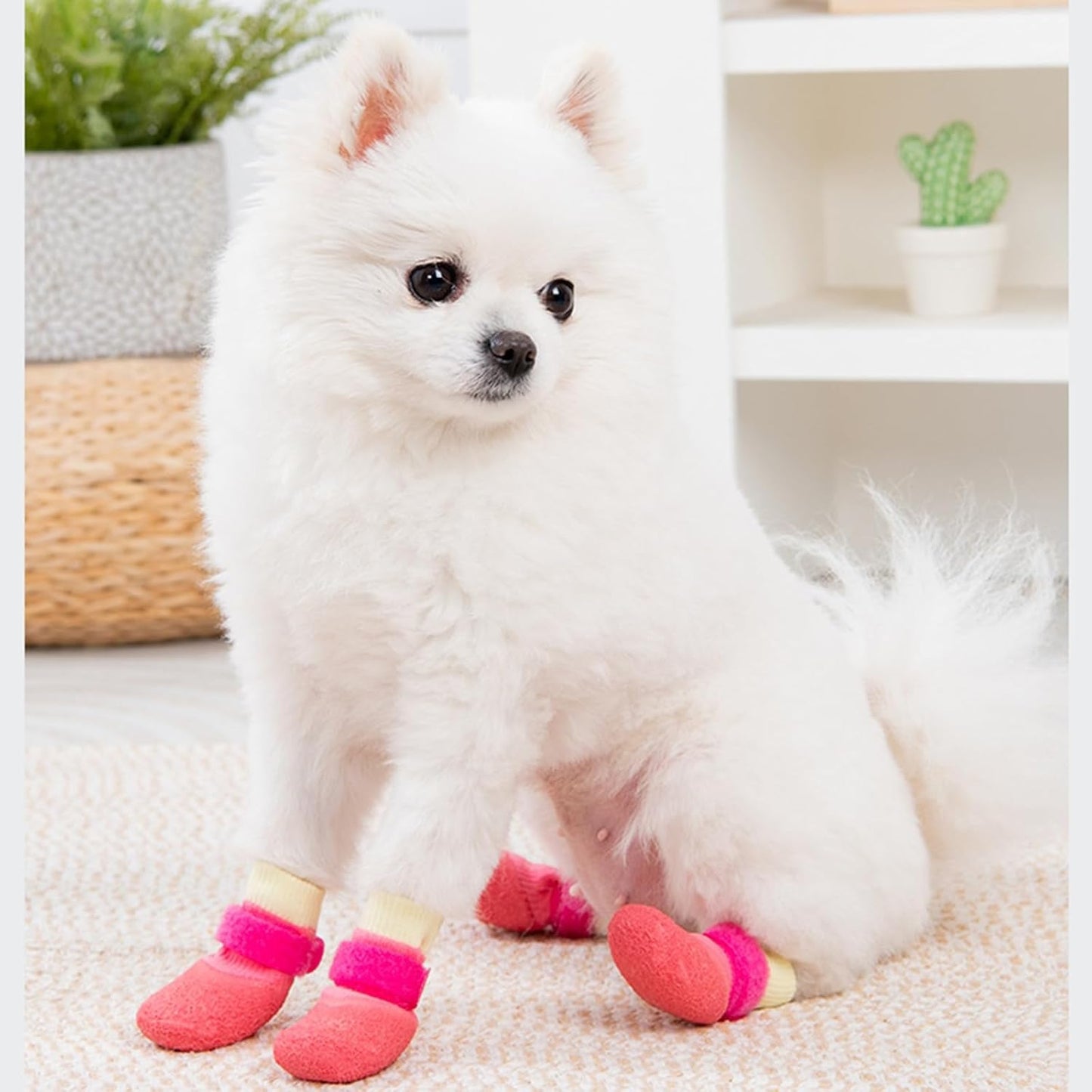 4PCS Dog Shoes Hot Pavement Summer with Soft Anti-Slip Rubber Sole