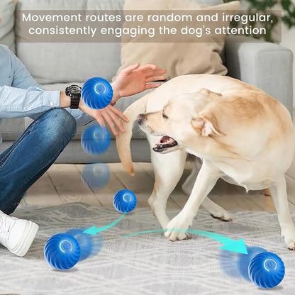 2 Pcs Shaky Ball Toy for Dogs Upgrad Interactive Remote Control