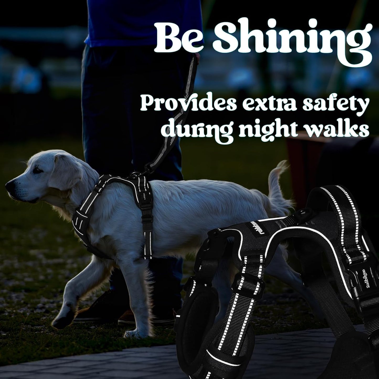 Dog Harness No Pull Adjustable Reflective,for Medium and Large Small Dog with Leash 59.06in