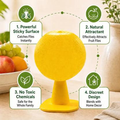 4Pcs Fruit Fly Sticky Trap Balls Fungus Gnat Killer Bug Catcher Gnat Trap Insect Traps