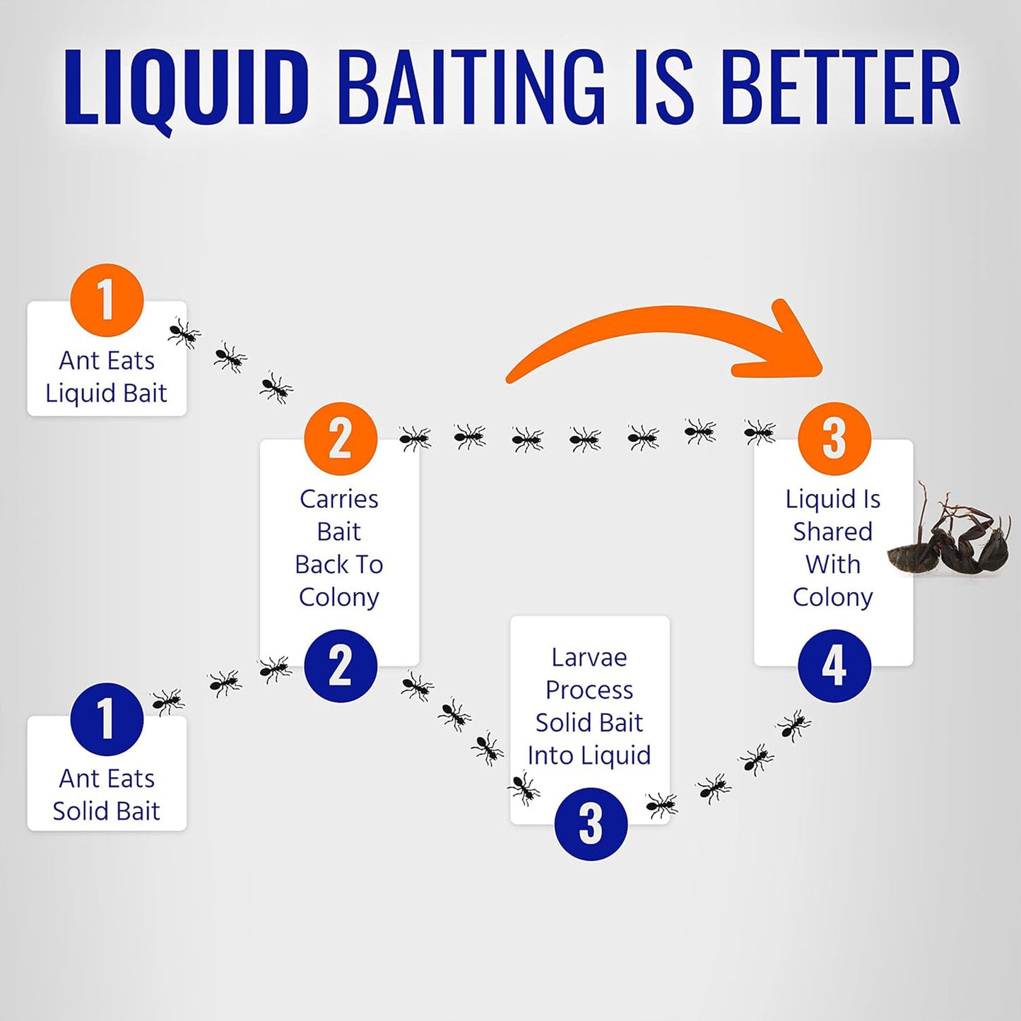 Ant Killer Bait Stations- Liquid Bait 8 Count Stations for Effective Indoor Ant Control