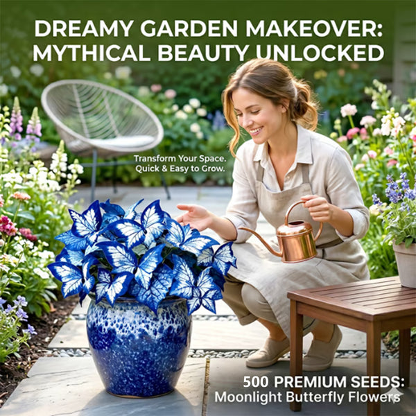 500 Moonlight Butterfly Seeds — Garden Flowers