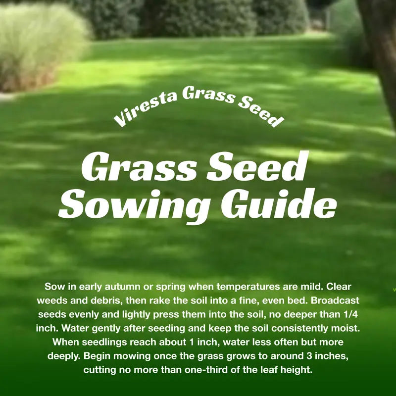 Grass Seed and Shade Grass, Grows Quickly and Withstands All Seasons