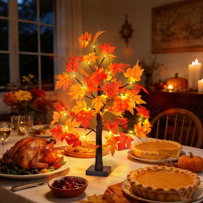 24 Inch Fall Maple Tree with 48LED Battery Operated Lighted Tabletop Artificial Tree with Pumpkin Acorn Maple Fall