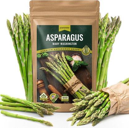 Low-Fat High-Fiber Asparagus Pips| Top Choice for Weight Loss Veggies | Perennial & Easy to Grow