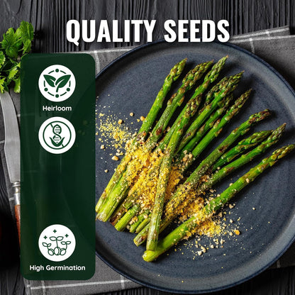 Low-Fat High-Fiber Asparagus Pips| Top Choice for Weight Loss Veggies | Perennial & Easy to Grow