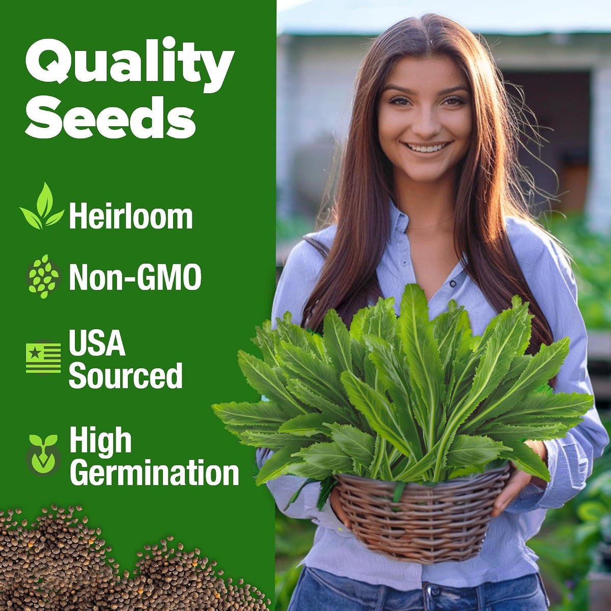 1000 Culantro - Heirloom Grown in USA, High Germination Rate for Gardening