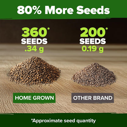 1000 Culantro - Heirloom Grown in USA, High Germination Rate for Gardening