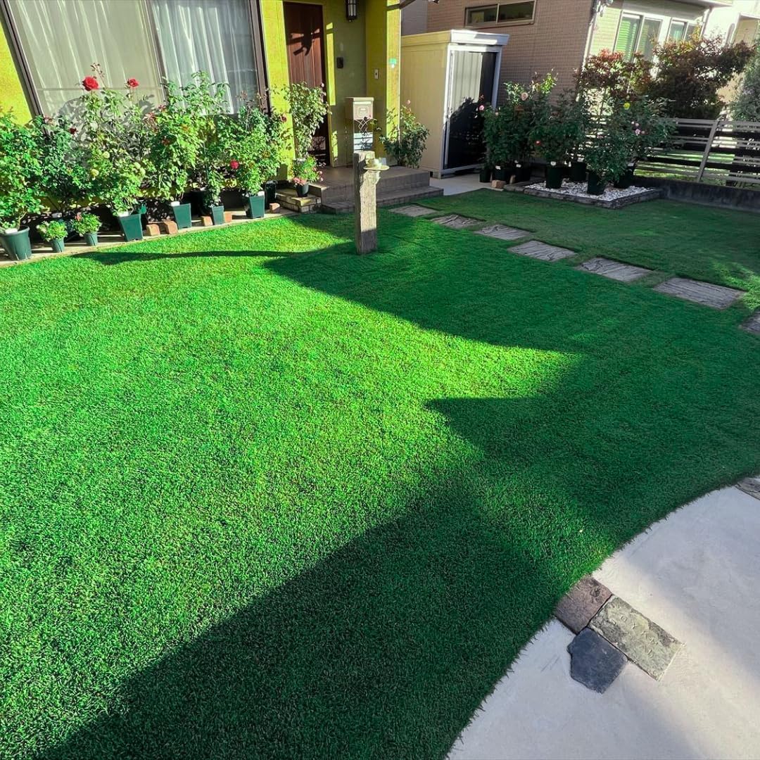 17000+ Grass and Shade Grass, Grows Quickly and Withstands All Seasons
