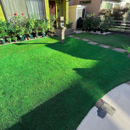 17000+ Grass and Shade Grass, Grows Quickly and Withstands All Seasons
