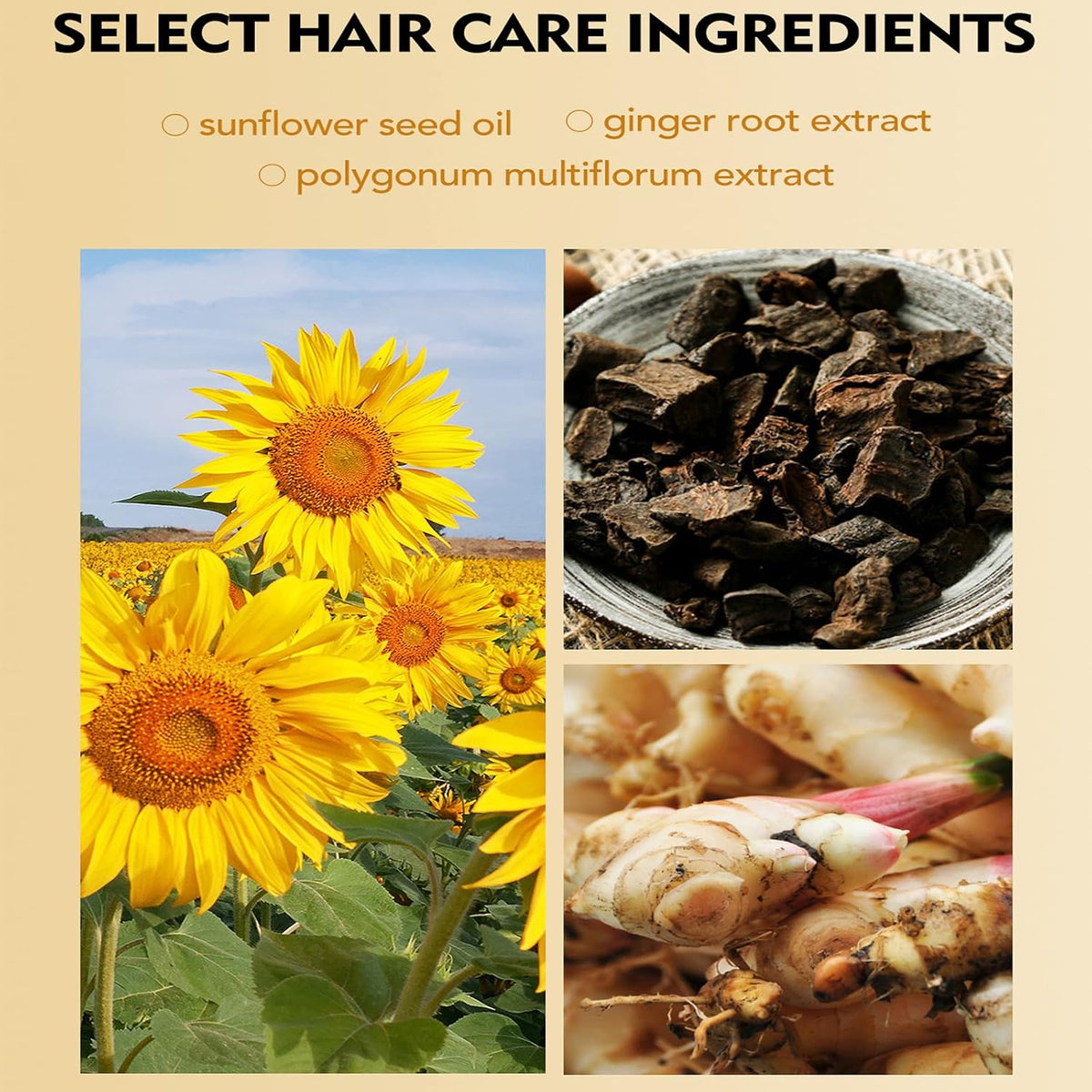 New Moisturizing Scented Alcohol-Free Perfumed Hair Care Oil Spray