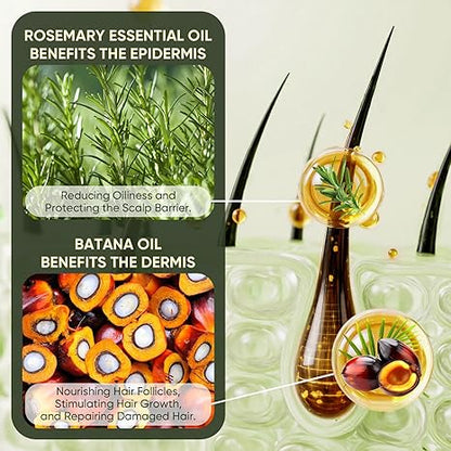 Batana Oil Shampoo, Rosemary Oil Shampoo with Rosemary Extract, Suitable for Men & Women