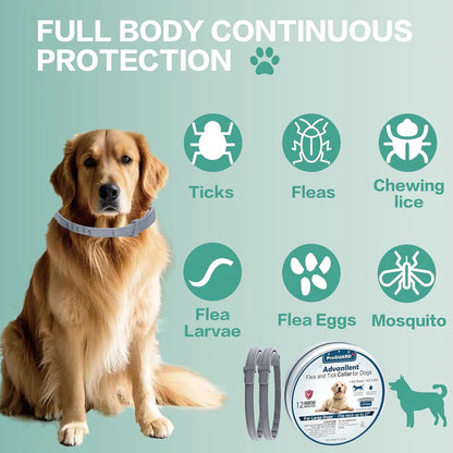 2 Collars Flea & Tick Prevention Collar For Dogs ,12 Months Prevention, One Size Fits All