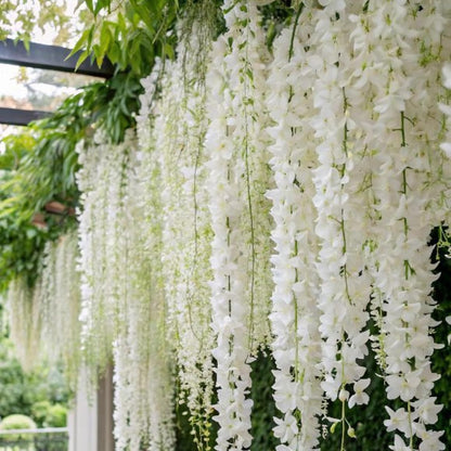 500+ Climbing Weeping Jasmine Flower Seeds for Planting Fragrant Plant Seeds Four Seasons