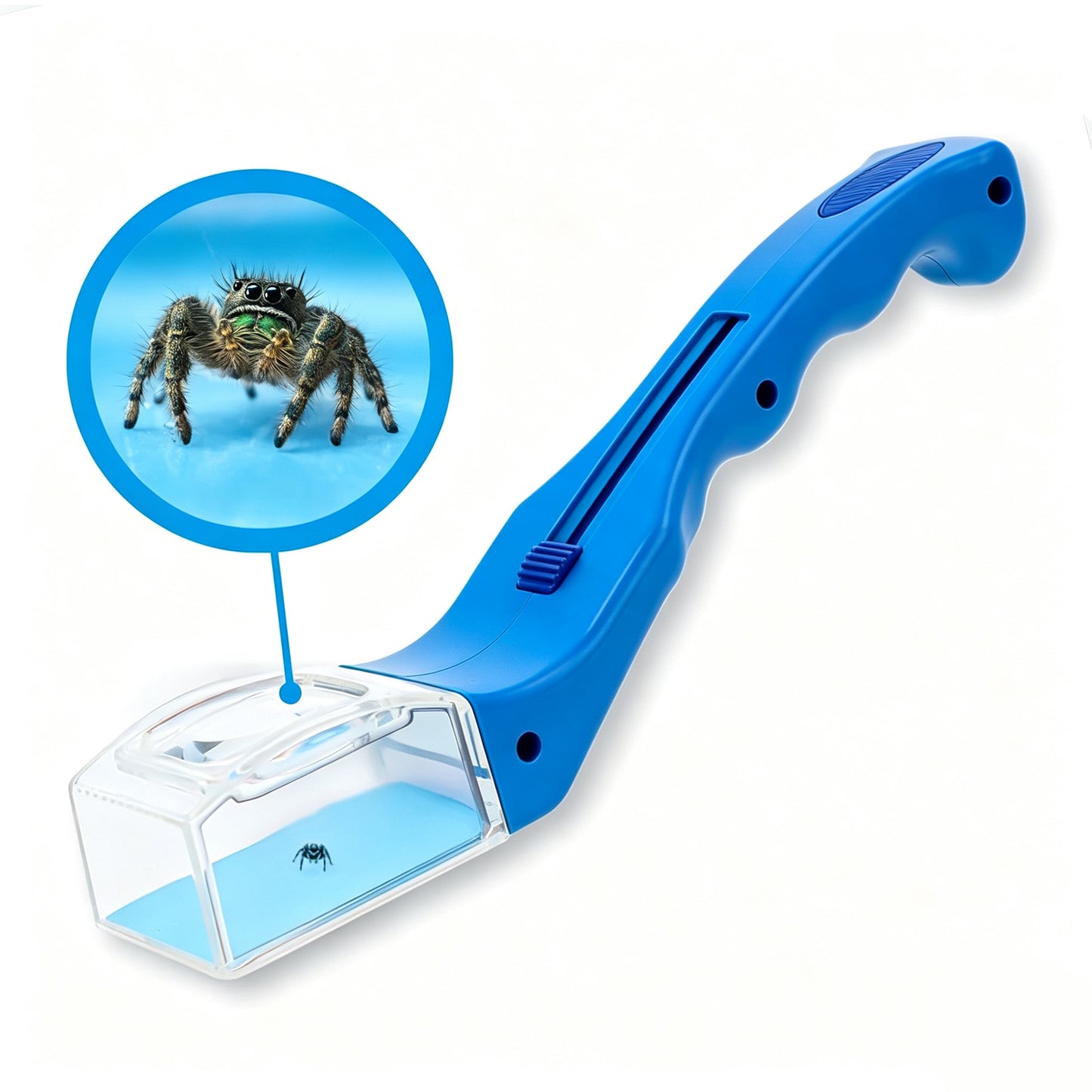 Quick Catch-Observe-Release 5X Magnifying Glass Quick-Release Bug Catcher Tool