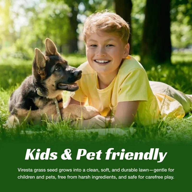 Grass Seed and Shade Grass, Grows Quickly and Withstands All Seasons
