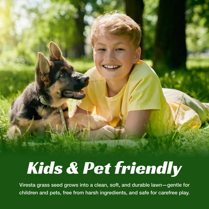 Grass Seed and Shade Grass, Grows Quickly and Withstands All Seasons