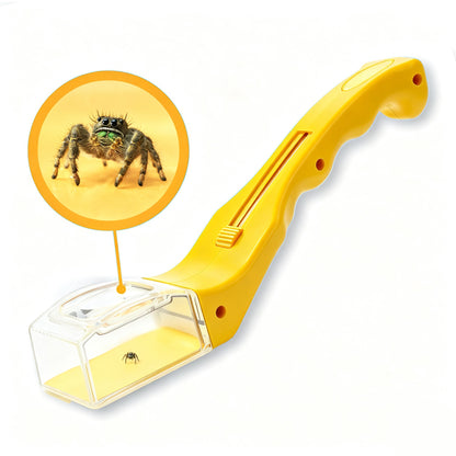 Quick Catch-Observe-Release 5X Magnifying Glass Quick-Release Bug Catcher Tool