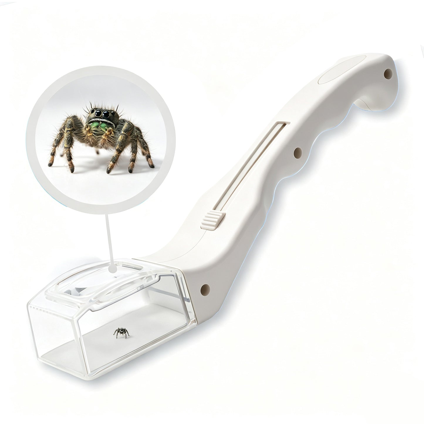 Quick Catch-Observe-Release 5X Magnifying Glass Quick-Release Bug Catcher Tool