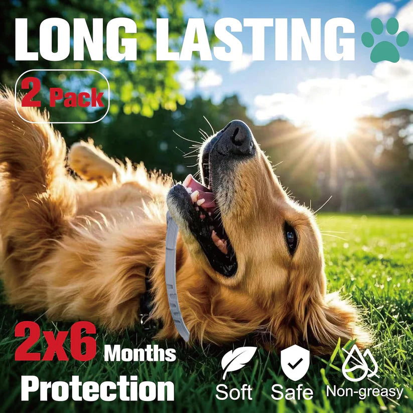 2 Collars Flea & Tick Prevention Collar For Dogs ,12 Months Prevention, One Size Fits All