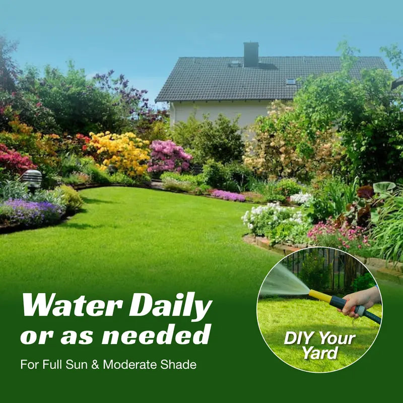Grass Seed and Shade Grass, Grows Quickly and Withstands All Seasons