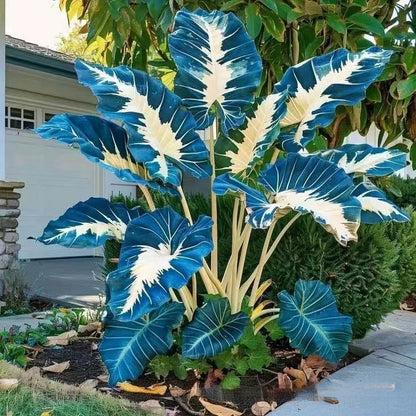 500 Mixed-Color Caladium Seeds — Beautiful Foliage Plants for the Garden