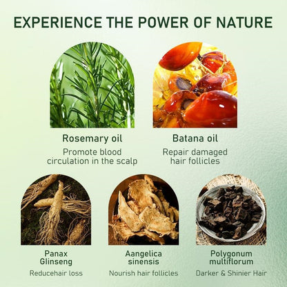 2Pcs Batana Oil & Rosemary Roll-On Hair Growth Serum—Precision Care for The Scalp and Beard