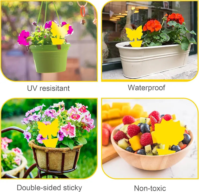 50 Pack Yellow Sticky Traps, Fungus Gnat Traps for House Indoor Plants