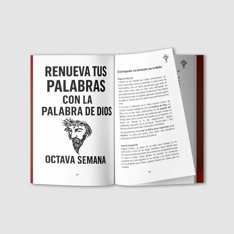 40-Day Transformation Combo: Emotional Intelligence Guide + Success Mindset Manual