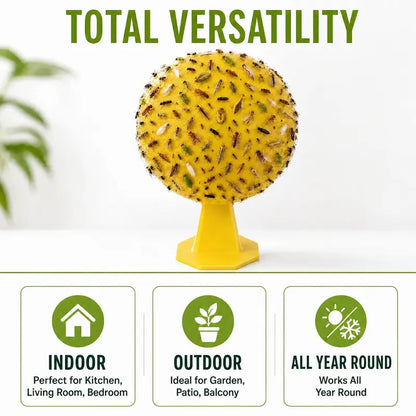 4Pcs Fruit Fly Sticky Trap Balls Fungus Gnat Killer Bug Catcher Gnat Trap Insect Traps