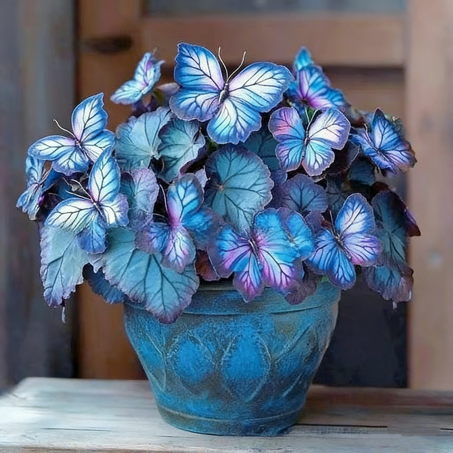 500Pcs  Seeds Moonlight Butterfly — Garden Flowers