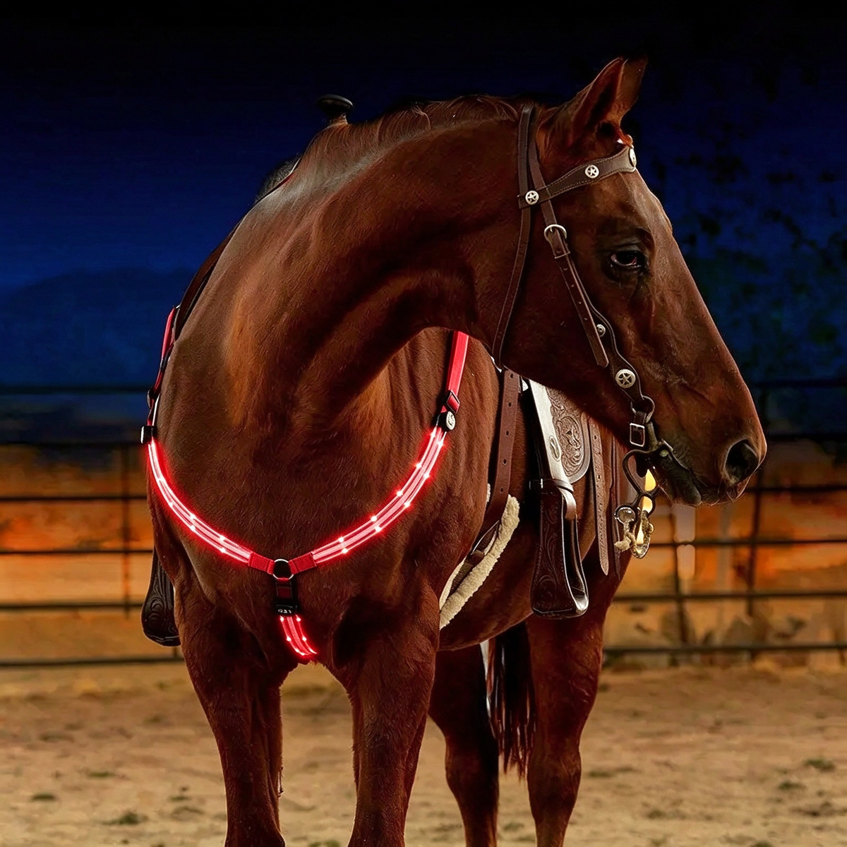 Adjustable LED Horse Breastplate Collar Harness Tack